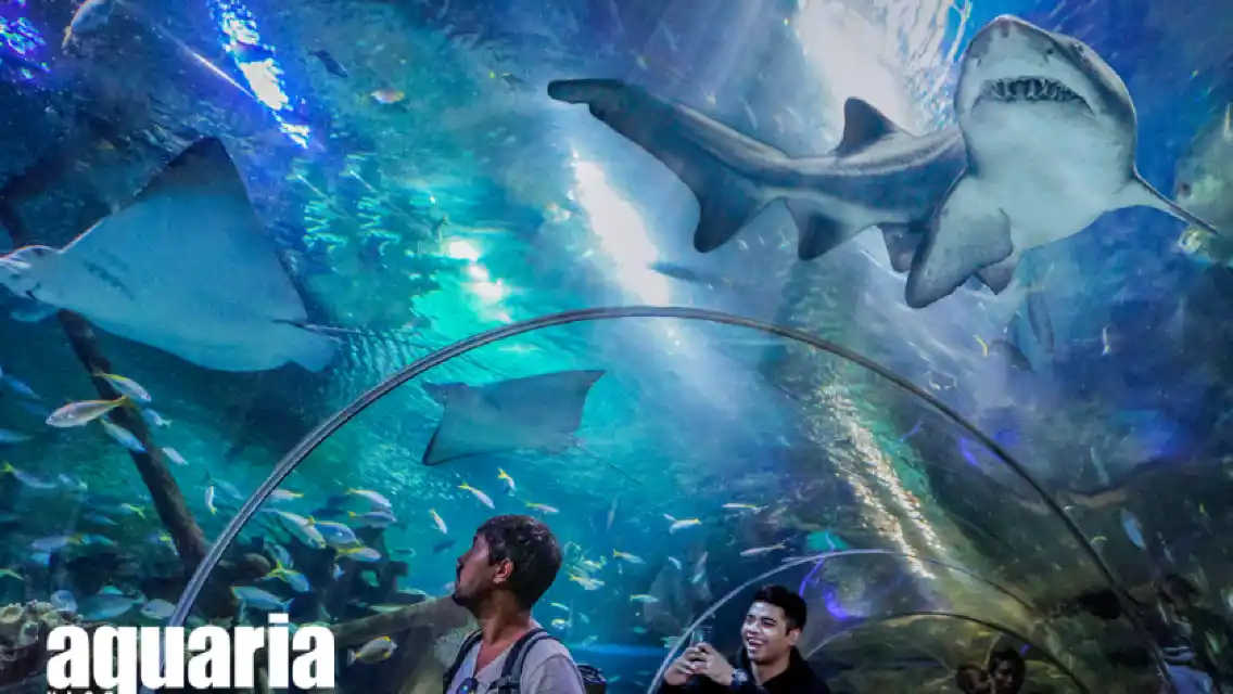 bookmaxicab top 10 places kl aquaria